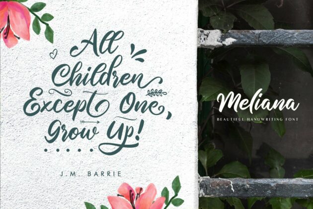 Meliana Script Poster 11
