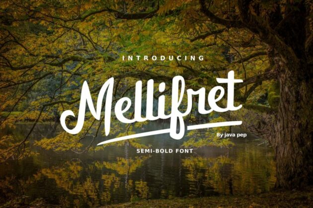 Mellifret script font Poster 6