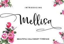 Mellisa Modern Calligraphy Font Poster 1