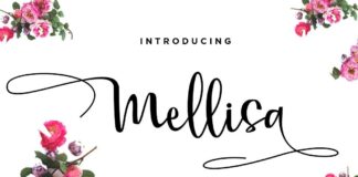 Mellisa Modern Calligraphy Font Poster 1