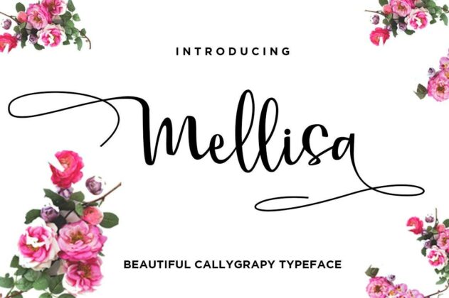 Mellisa Modern Calligraphy Font Poster 7