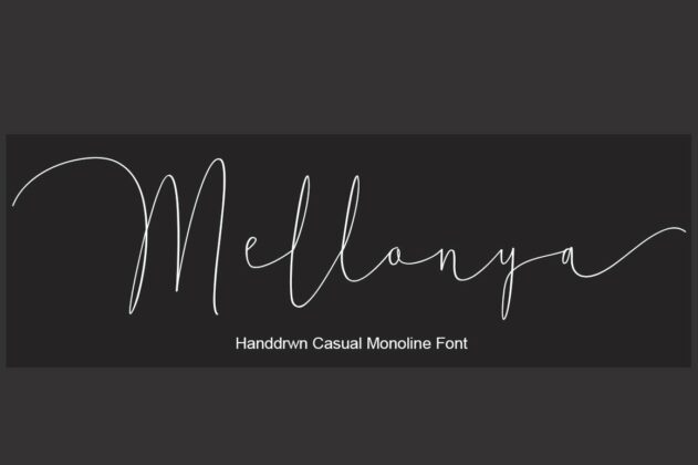 Mellonya Script Poster 7