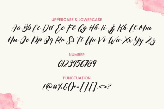 Mellyani - Classic Handwritten Typeface Poster 7
