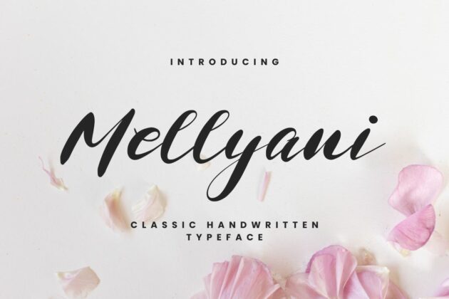 Mellyani - Classic Handwritten Typeface Poster 8