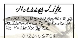 Messy Life Poster 1