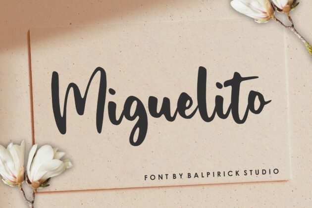 Miguelito Modern Handwritten Font Poster 5