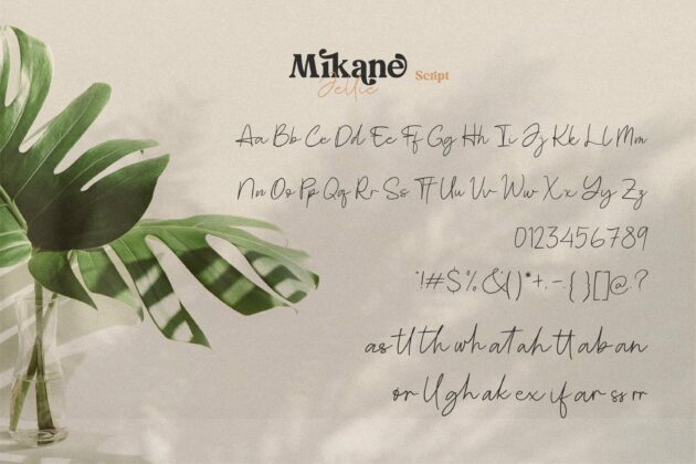 Mikane Jellie Handwritten Font Duo Poster 6