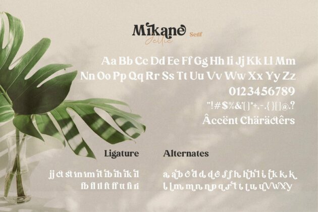 Mikane Jellie Handwritten Font Duo Poster 7