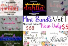 Mini Bundle Vol 1 Poster 1