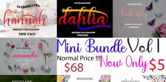 Mini Bundle Vol 1 Poster 1