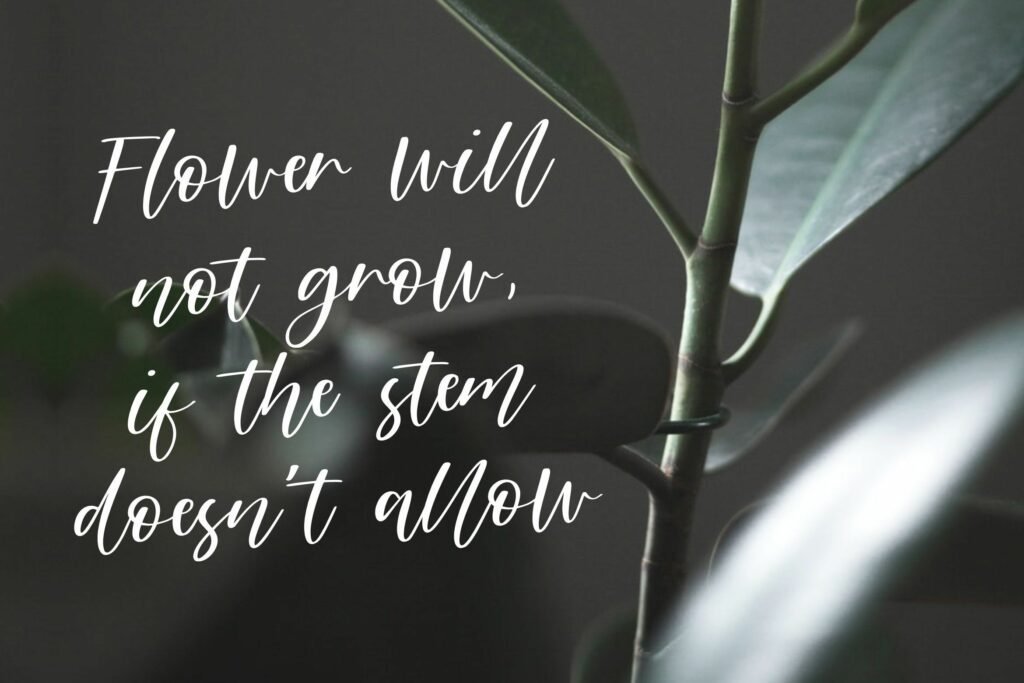 Miracle Justice Modern Casual Handwritten Script Font Poster 6