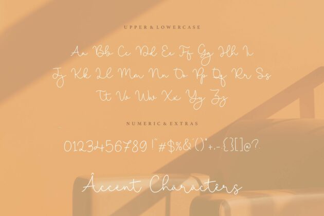 Miracle Sunrise Monoline Calligraphy Font Poster 4