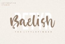 Misty Cotton Modern Calligraphy Font Poster 1