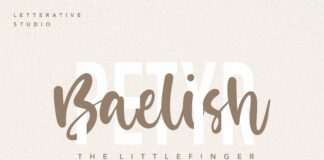 Misty Cotton Modern Calligraphy Font Poster 1