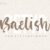 Misty Cotton Modern Calligraphy Font