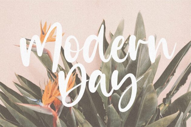 Misty Cotton Modern Calligraphy Font Poster 5