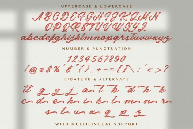 Miyabon - Textured Brush Font Poster 6