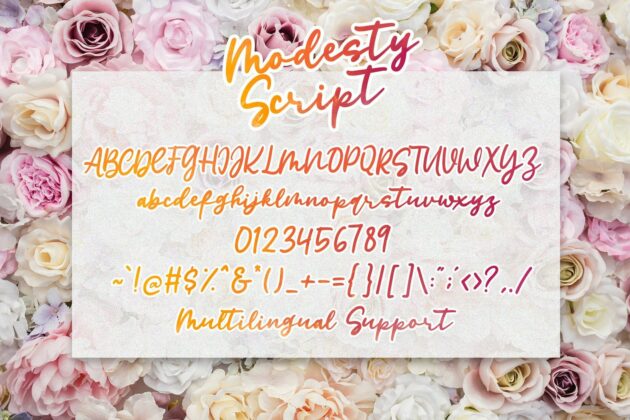 Modesty Script - Handwritten Font Poster 6