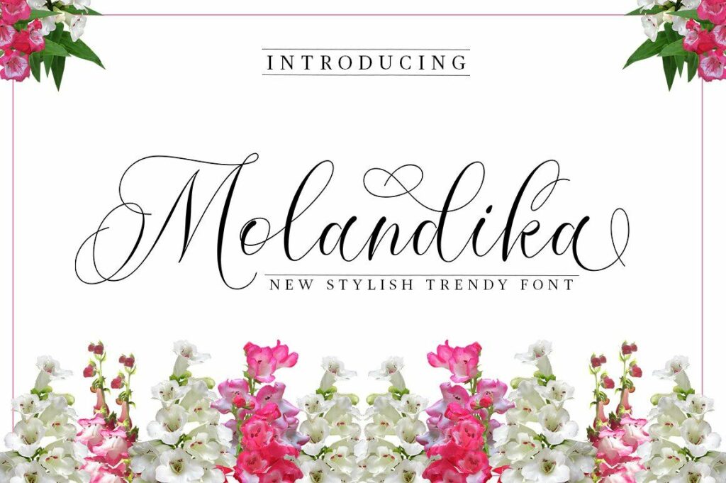 Molandika Script Poster 6