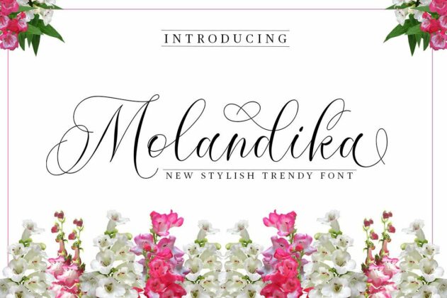 Molandika Script Poster 6