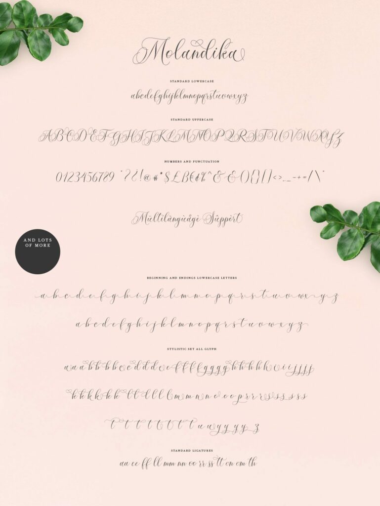 Molandika Script Poster 8