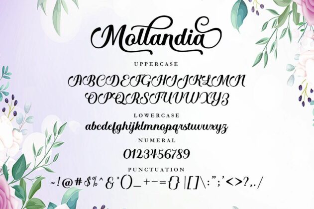 Mollandia Poster 2