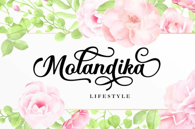 Mollandia Poster 6