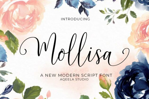 Mollisa Poster 6