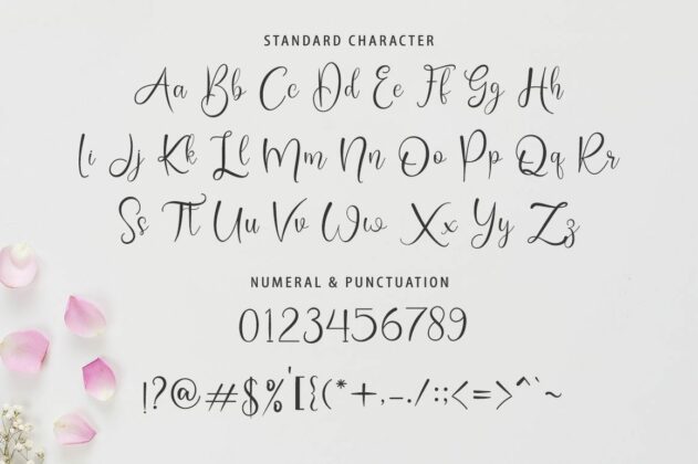 monalisa lovely font Poster 5