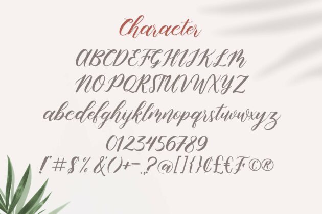 Montella Script Poster 6