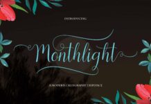 Monthlight Poster 1