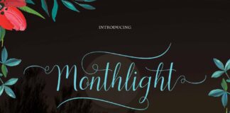 Monthlight Poster 1