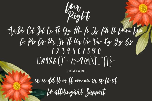 Mr Right Poster 5