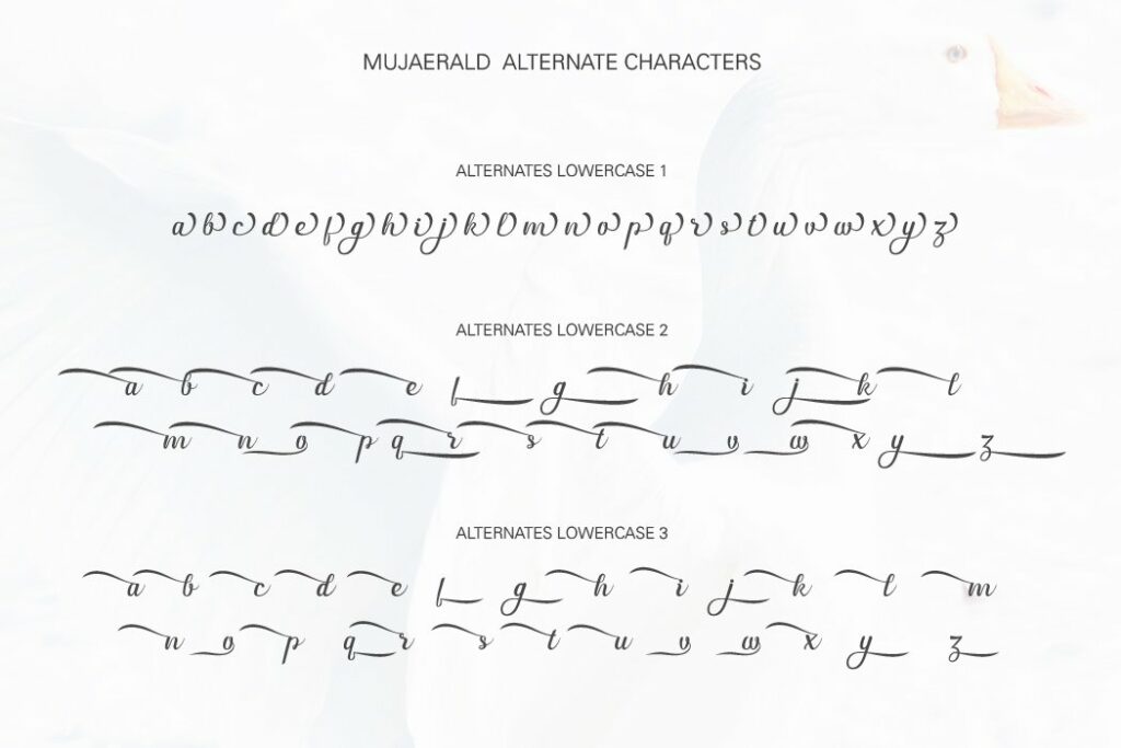 Mujaerald font Poster 6