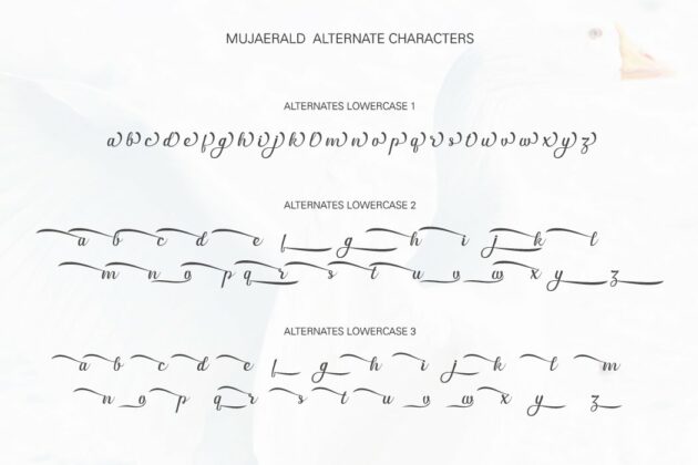 Mujaerald font Poster 6