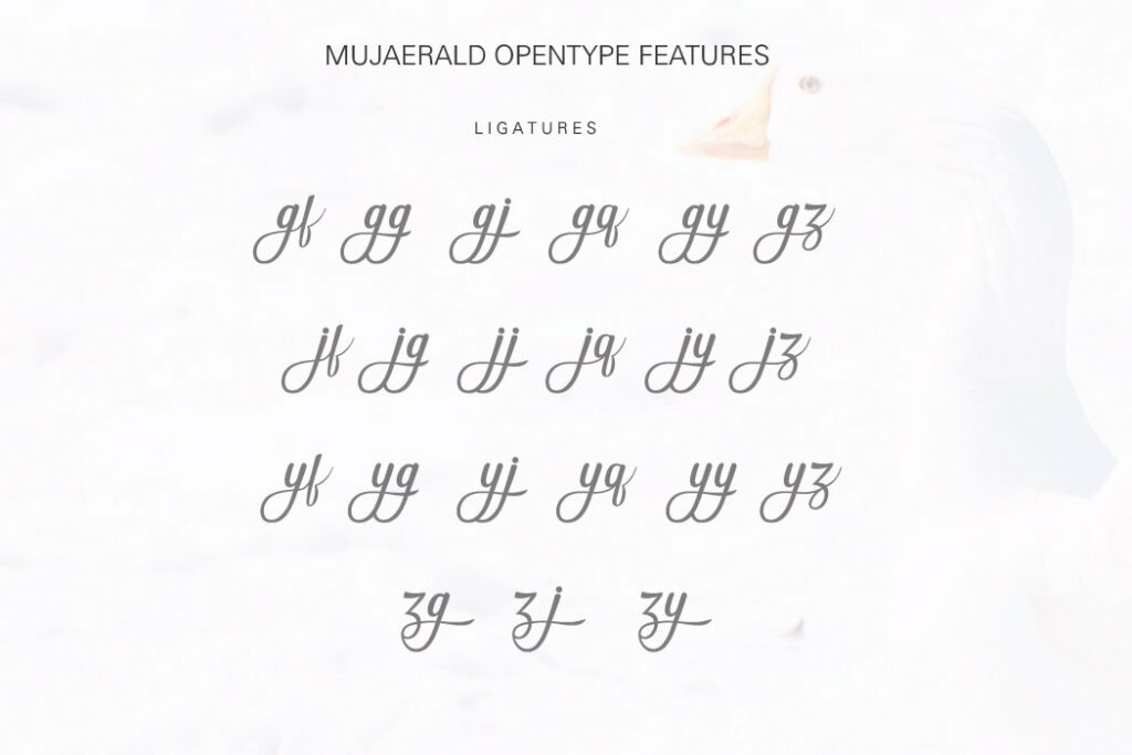 Mujaerald font Poster 7