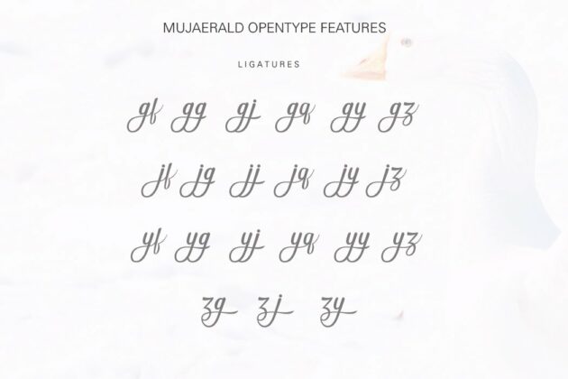 Mujaerald font Poster 7