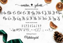 Nartin Zihati Poster 1