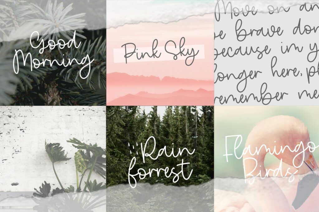 Nature Violces Modern Monoline Handwritten Font Poster 2