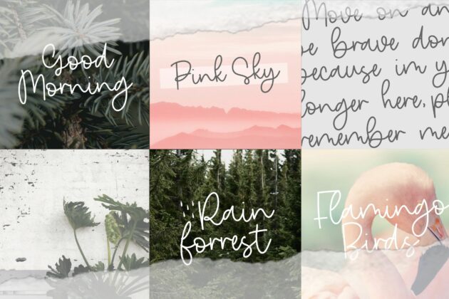 Nature Violces Modern Monoline Handwritten Font Poster 2