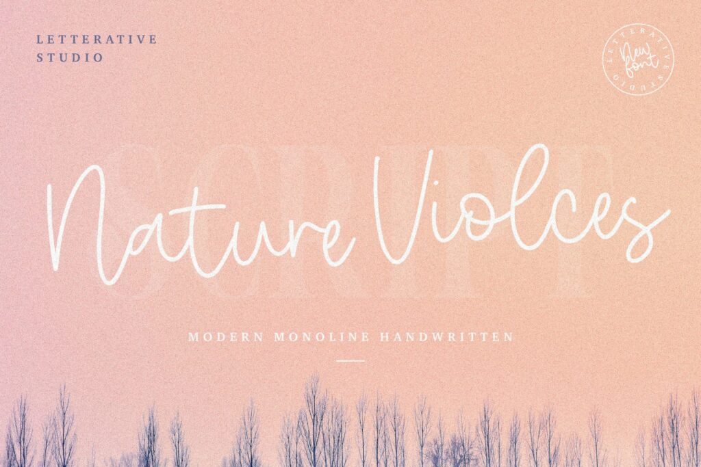 Nature Violces Modern Monoline Handwritten Font Poster 6