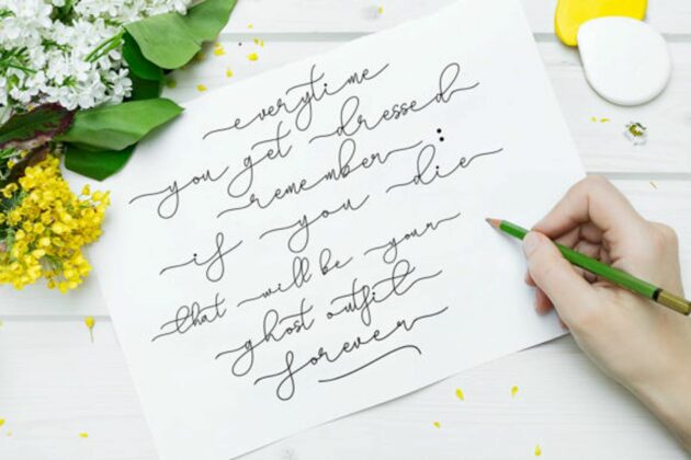 Nichelle font Poster 2