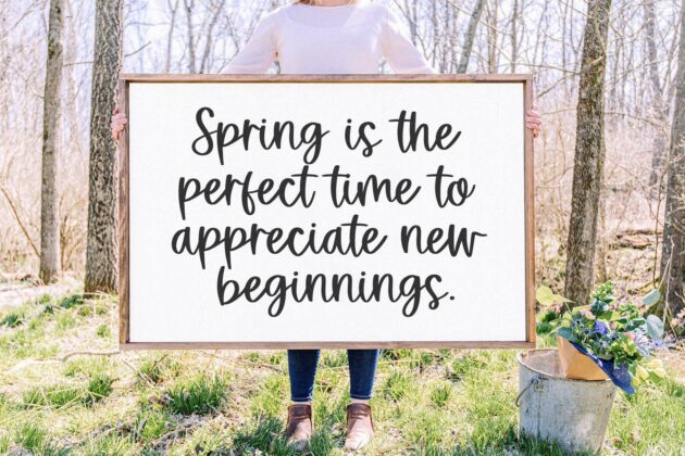 Noralie - Handwritten Script Font Poster 1