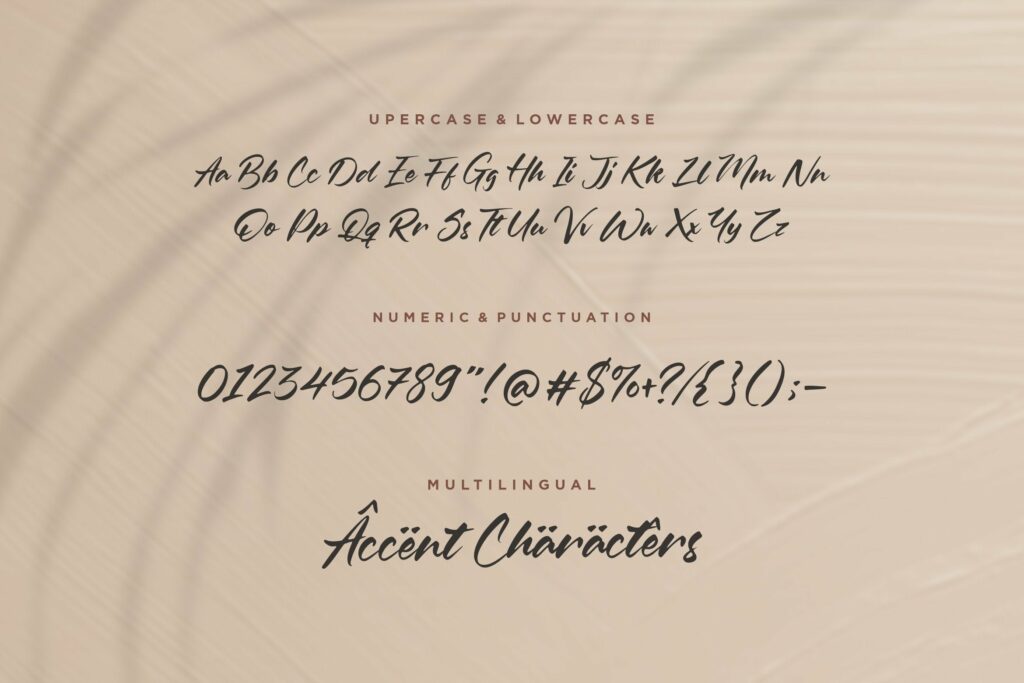 Oleandro Modern Calligraphy Font Poster 1