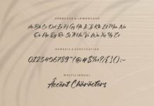 Oleandro Modern Calligraphy Font Poster 1