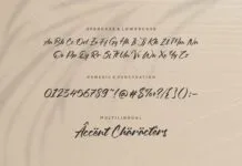 Oleandro Modern Calligraphy Font Poster 1