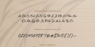 Oleandro Modern Calligraphy Font Poster 1