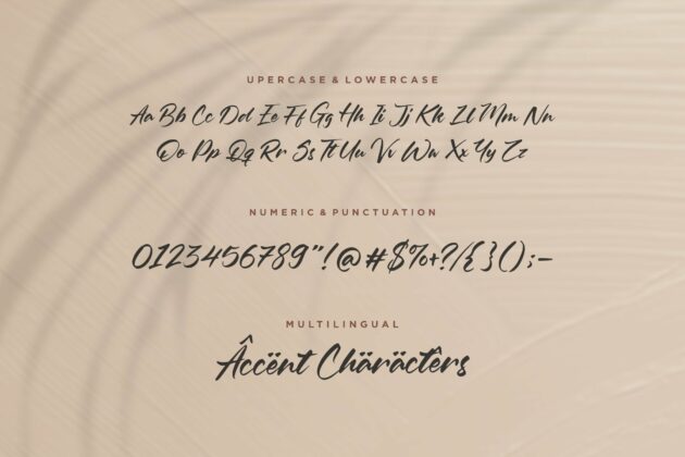 Oleandro Modern Calligraphy Font Poster 1