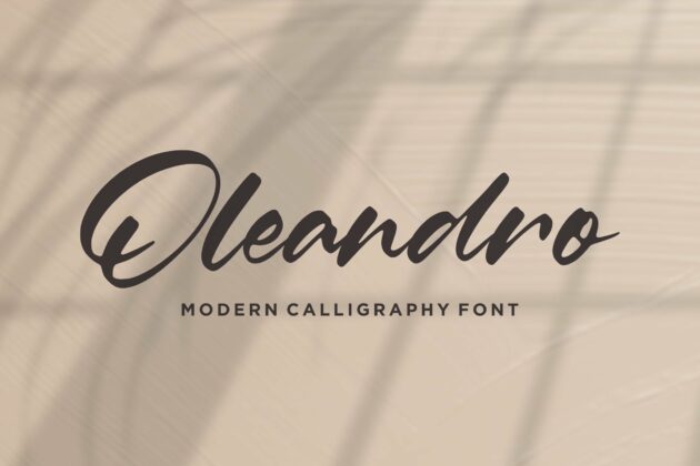 Oleandro Modern Calligraphy Font Poster 6