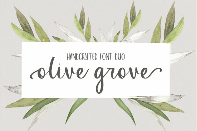 Olive Grove Poster 4